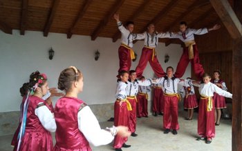 Activitate de diseminare organizată la …