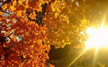 Vreme caldă în următoarele două …