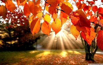 Cum va fi vremea de …