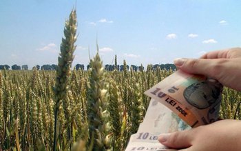 Unde ajung cele mai mari …