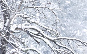 A venit iarna. La munte …