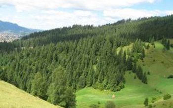 Arhiepiscopia Sucevei a pierdut procesul …