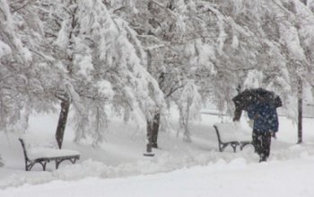 Cum va fi vremea în …
