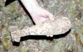 Un proiectil de artilerie a …