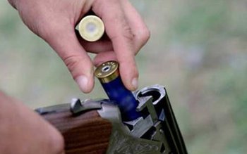 Bărbaţi cercetați după ce au …