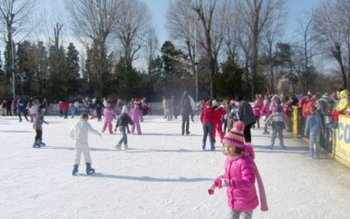 Tragedie la patinoar: O fetiță …