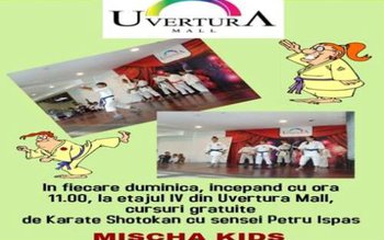 Cursuri gratuite de karate pentru …