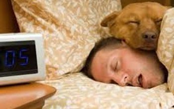 Începe vânătoarea stăpânilor care nu …