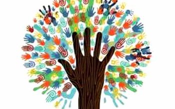 Program international de sprijinire a …