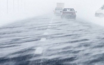 Cod galben de ninsori și …