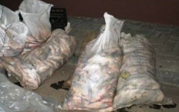 Saci cu peşte ilegal depistaţi …