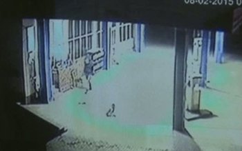 Momente de groază la o …