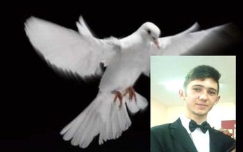 Mesaj emoționant transmis de familia …