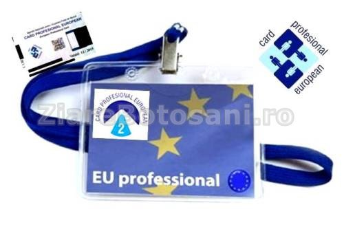 Cardul Profesional European 2 - un sistem integrat la nivel naţional