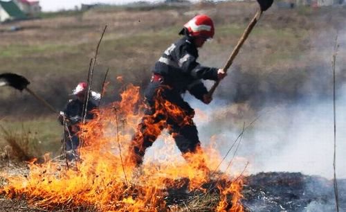 Amenzi pentru arderea vegetaţiei uscate aplicate de pompierii botoșăneni