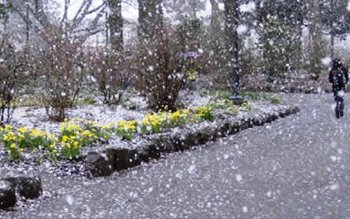 Informare meteo. Ploi, lapoviţă şi …