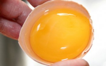 Gălbenuşul de ou, la fel …