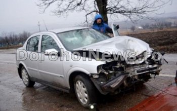 Un câine a băgat în …