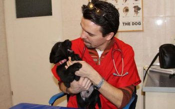 Atenție! Mai sunt câteva zile …