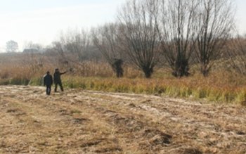 Migranţi ilegali depistaţi de poliţiştii …