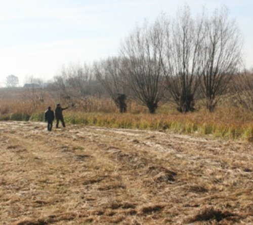 Migranţi ilegali depistaţi de poliţiştii de frontieră dorohoieni