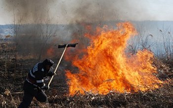 Incendiu puternic de vegetaţie uscată …