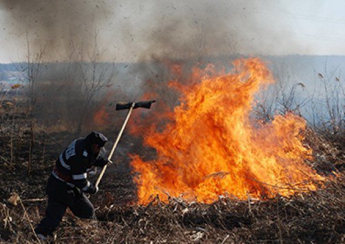 Incendiu puternic de vegetaţie uscată la Lunca