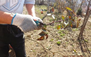 Descoperire mai puţin obişnuită. Vezi …