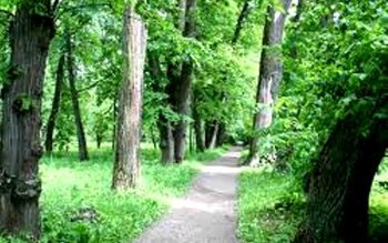 Botoșăneni care s-au trezit cu …