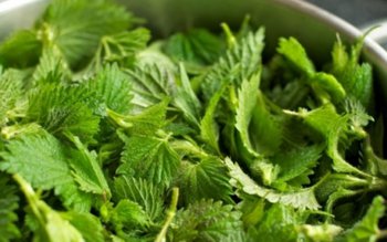 Alimentul-medicament cu efecte miraculoase asupra …