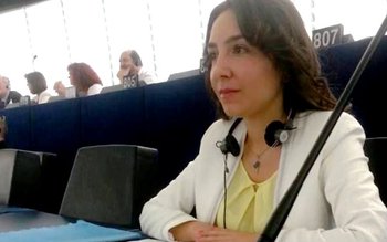 Claudia Ţapardel: Master Planul pe …