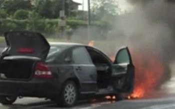 Panică pe o stradă din …