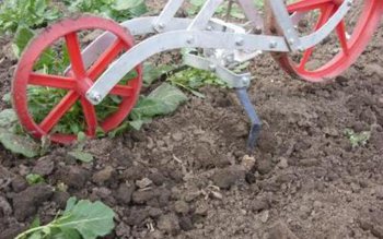 Vezi ce a descoperit o …