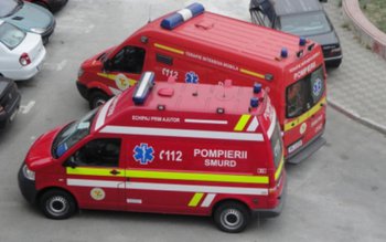 Descoperire macabră, în subsolul unui …