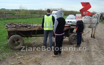 Căruța cu fund dublu - …