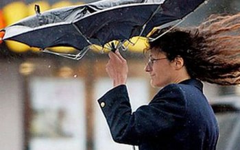 Cod galben de vânt şi …