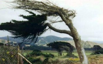 Avertizare ANM: Cod Galben de …