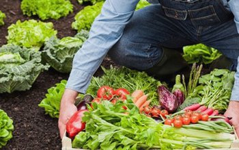 APIA: Agricultorii din sectorul ecologic …