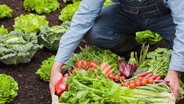 APIA: Agricultorii din sectorul ecologic pot depune cererile pentru ajutorul de minimis până pe 5 iulie inclusiv