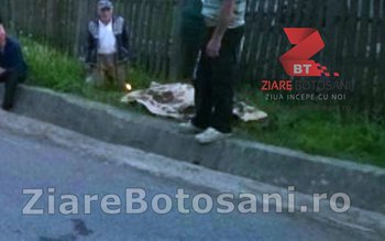 Accident mortal produs la Broscăuți: …