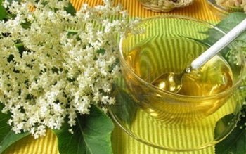 Tratamente naturiste cu flori de …