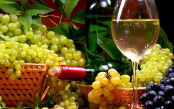 Închisoare pentru falsificatorii de vinuri. …