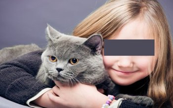 Legătura dintre pisici şi notele …