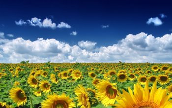 Anunțul meteorologilor. Ce ne așteaptă …