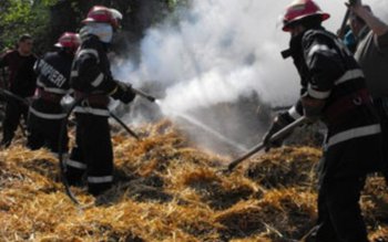 Tone de furaje distruse în …