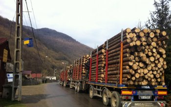 Amendat cu 1.000 de lei …