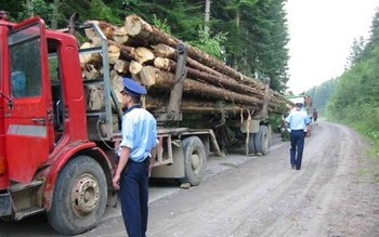 Bărbat amendat după ce a …