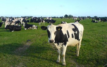 Trei UAT din județul Botoșani …