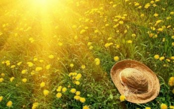 Cât de cald va fi …