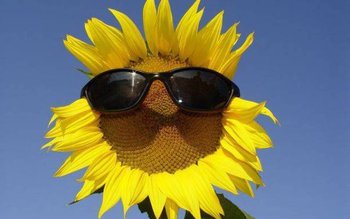 Temperaturi peste 30 de grade, …